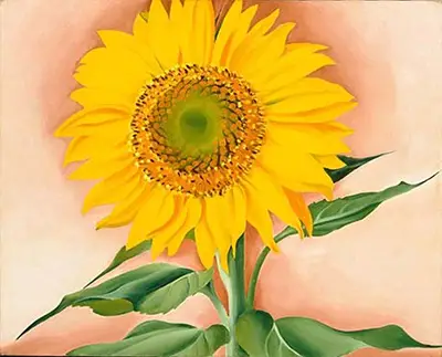 Sunflower Georgia O'Keeffe